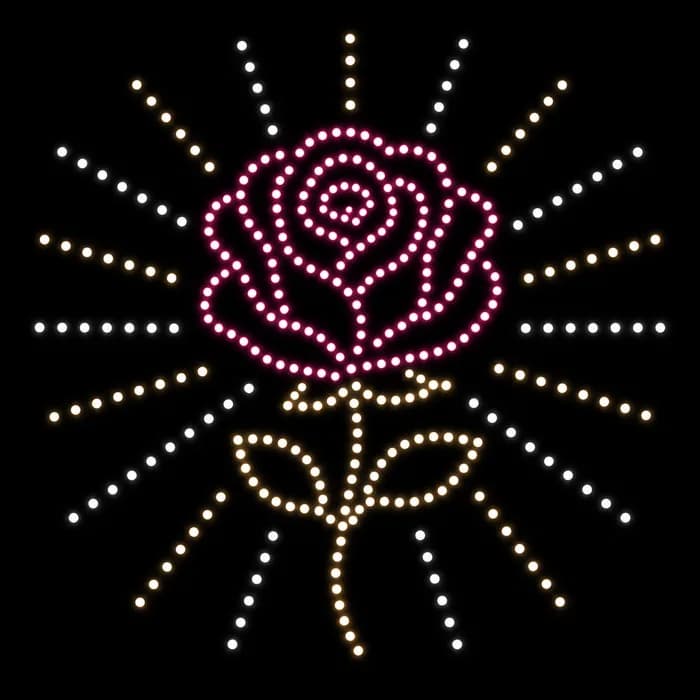 Rose For Her With Light Rays love drone show formation, 350 drones